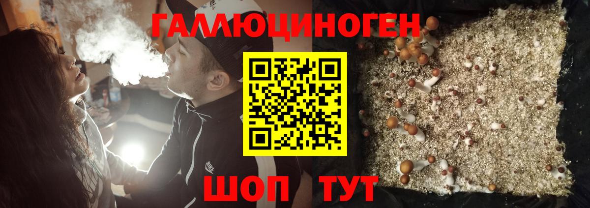 Псилоцибиновые грибы GOLDEN TEACHER Миасс